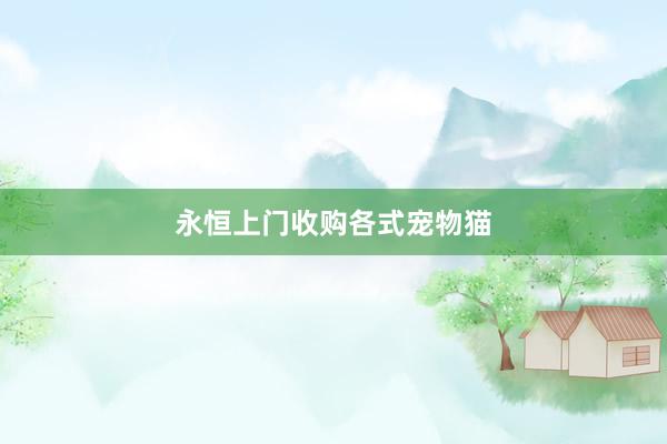 永恒上门收购各式宠物猫