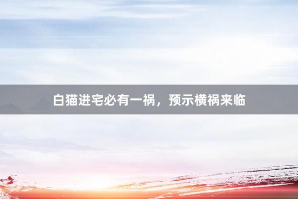 白猫进宅必有一祸，预示横祸来临
